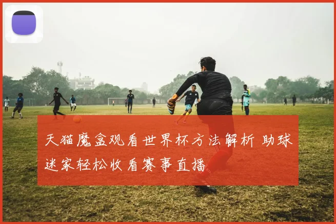 天猫魔盒观看世界杯方法解析 助球迷家轻松收看赛事直播