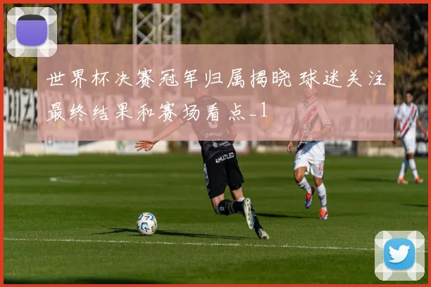 世界杯决赛冠军归属揭晓 球迷关注最终结果和赛场看点_1