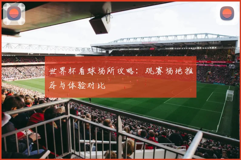 世界杯看球场所攻略：观赛场地推荐与体验对比