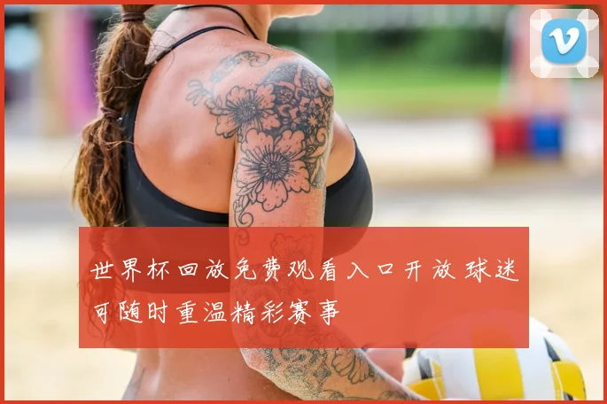世界杯回放免费观看入口开放 球迷可随时重温精彩赛事