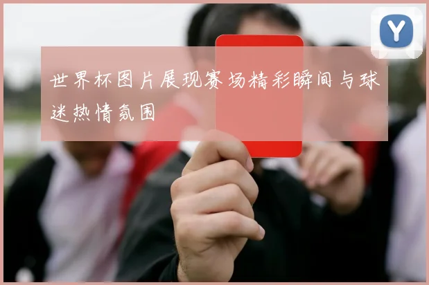 世界杯图片展现赛场精彩瞬间与球迷热情氛围